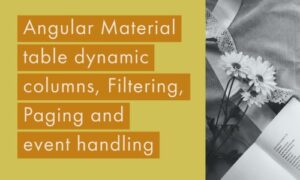 Read more about the article Angular Material table dynamic columns, Filtering, Paging and event handling