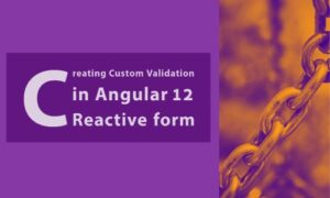 Read more about the article Creating Custom Validation in Angular 12 using Reactive Forms
