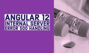 Read more about the article How to Handle Internal Server Error 500 in Angular 12