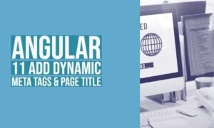 Read more about the article Angular 11 Add Dynamic Meta Tags & Page Title