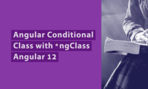 Read more about the article Angular Conditional Class with *ngClass : Angular 14