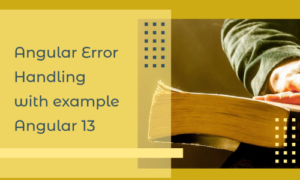 Read more about the article Angular Error Handling with example | Angular 14